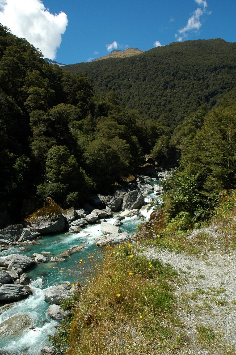134   25 01   Fox Glacier   Oamura